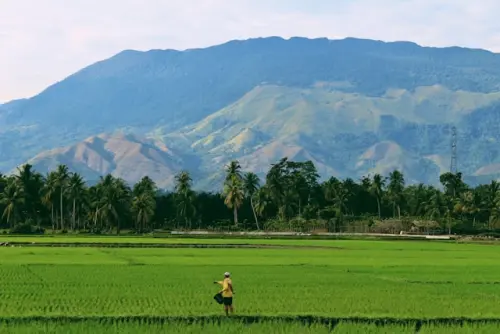 Etika Lingkungan dalam Arsitektur : Konsep Sawah Terasering pada Desain Bangunan Perkotaan | KF Map – Digital Map for Property and Infrastructure in Indonesia